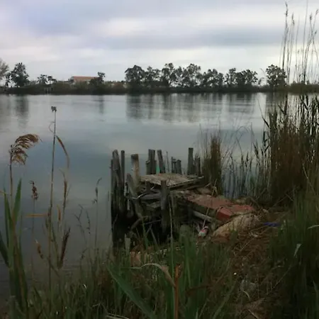 Vacaciones En El Delta De L'ebre,